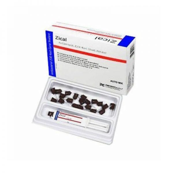 Dentcruise Prevest Zical Root Canal Sealent Automix-1