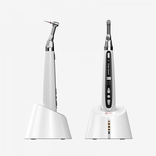 Dentcruise Woodpecker Endosmart Endomotor-1