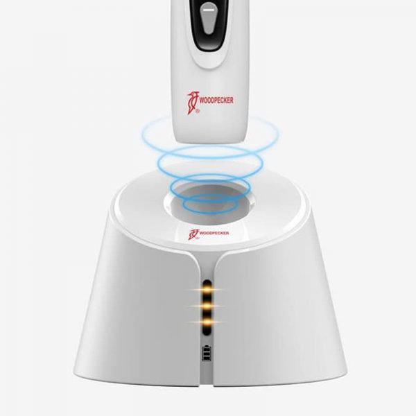 Dentcruise Woodpecker Endosmart Endomotor-3