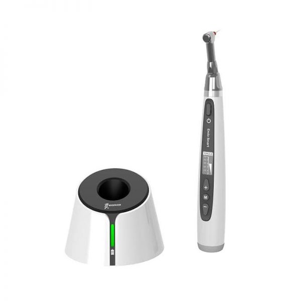 Dentcruise Woodpecker Endosmart Endomotor